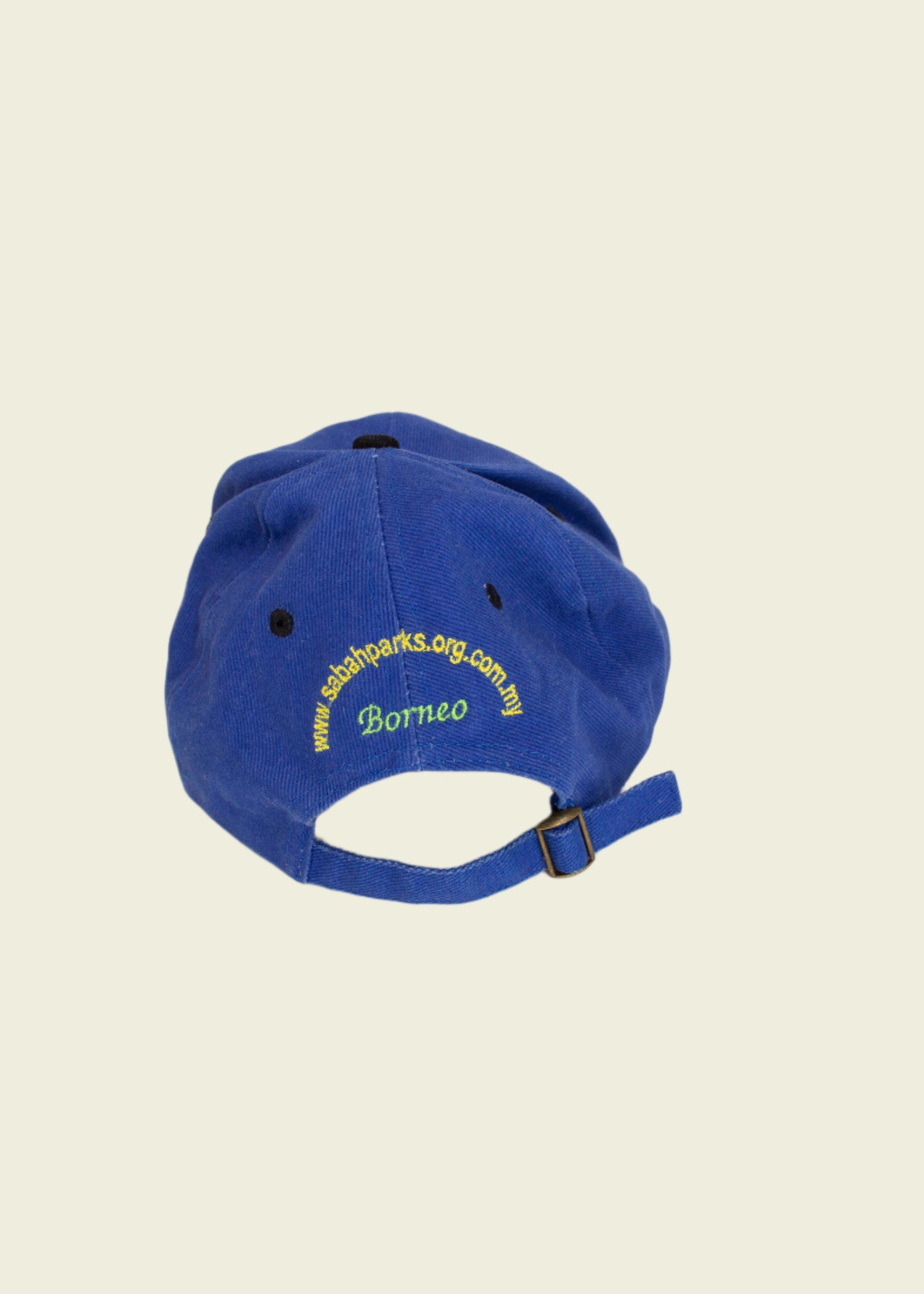 Vintage Blue Cap